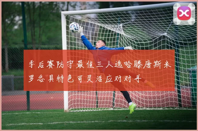 季后赛防守最佳三人选哈滕唐斯米罗各具特色可灵活应对对手